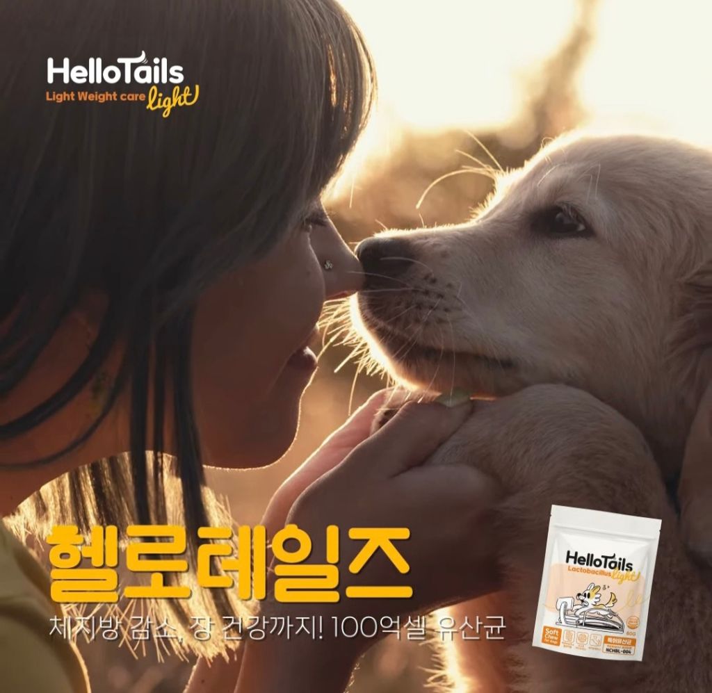 작성자 프로필 이미지