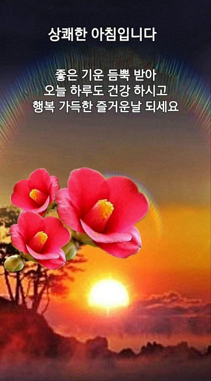 작성자 프로필 이미지