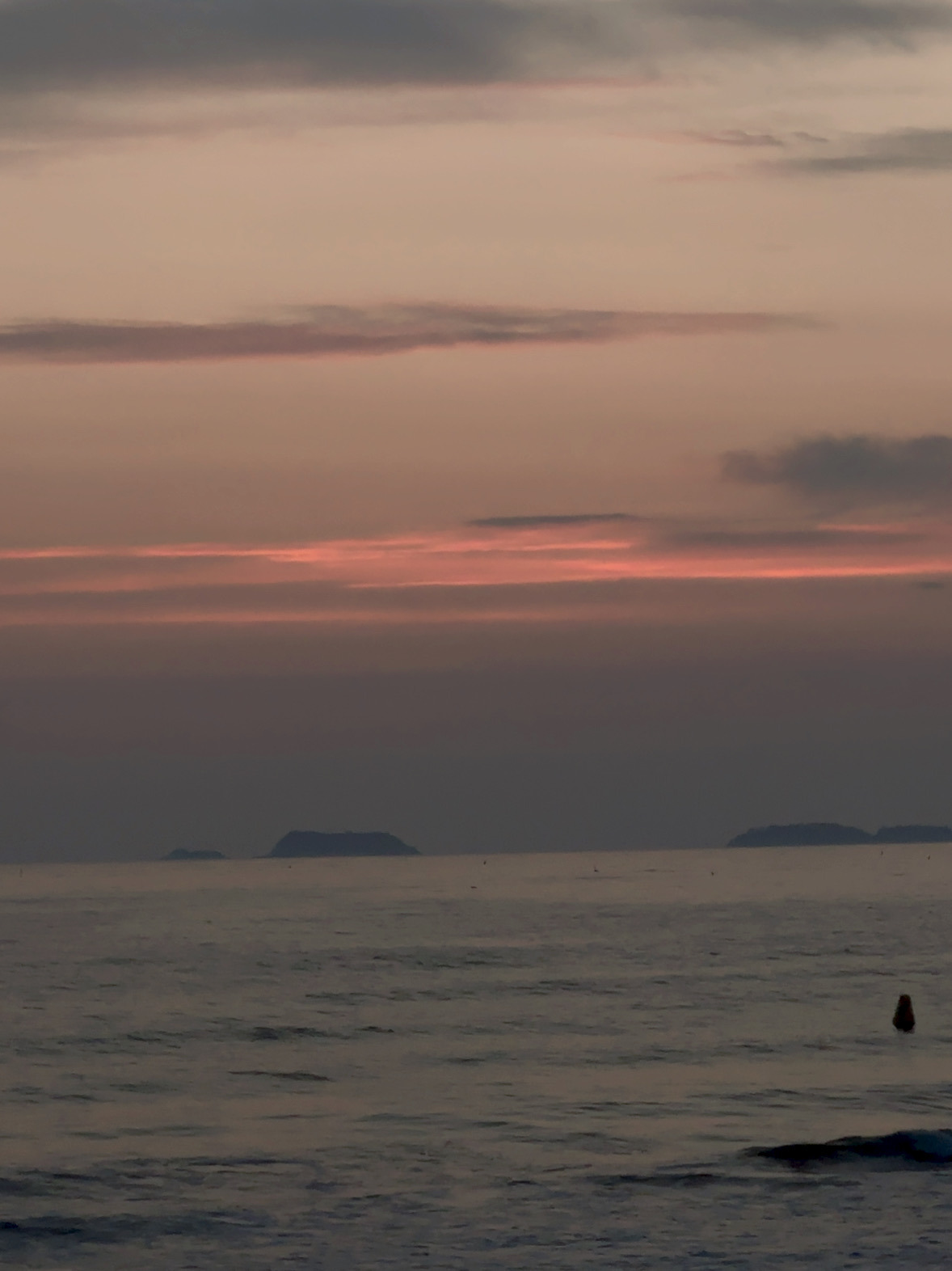 작성자 프로필 이미지