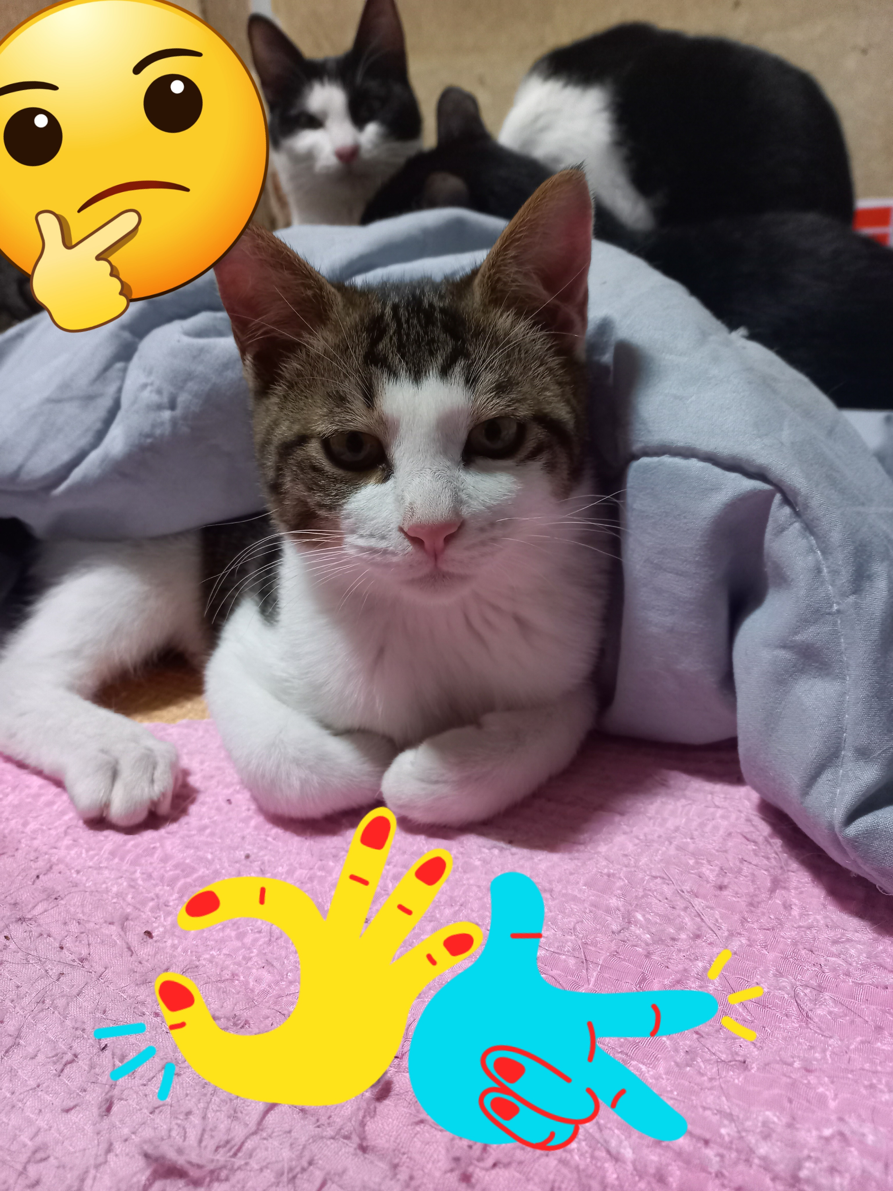 작성자 프로필 이미지