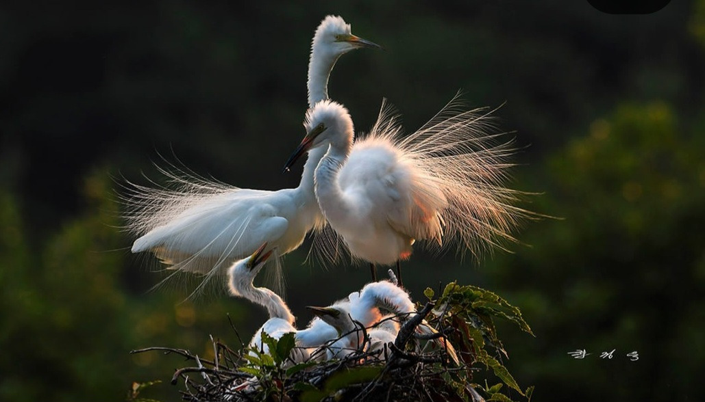 작성자 프로필 이미지