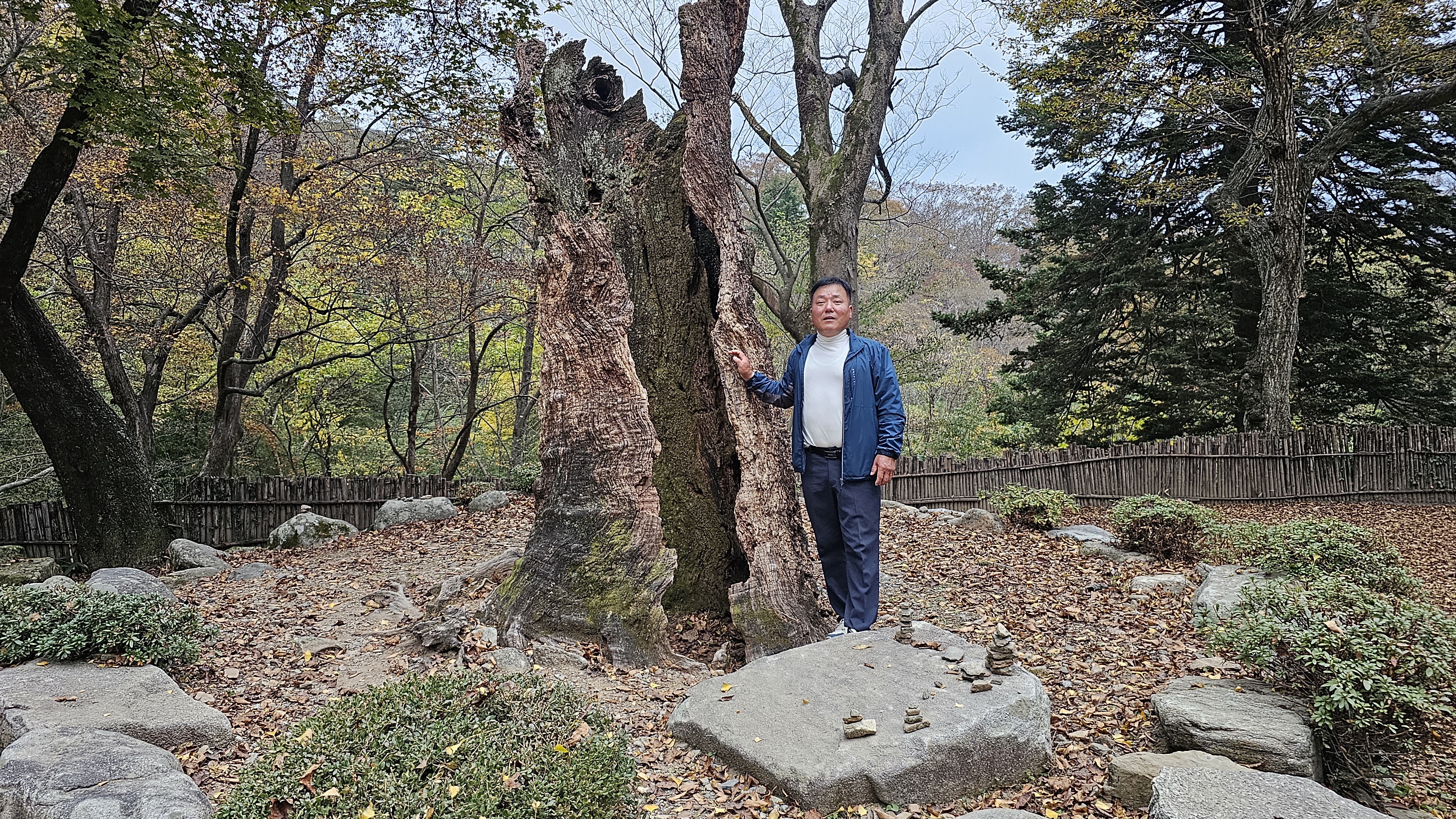 작성자 프로필 이미지