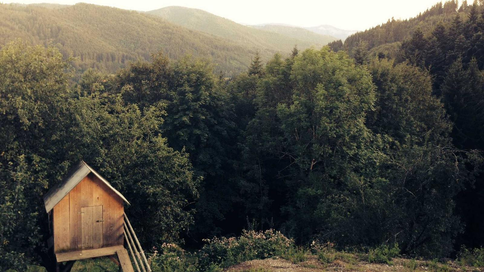 작성자 프로필 이미지