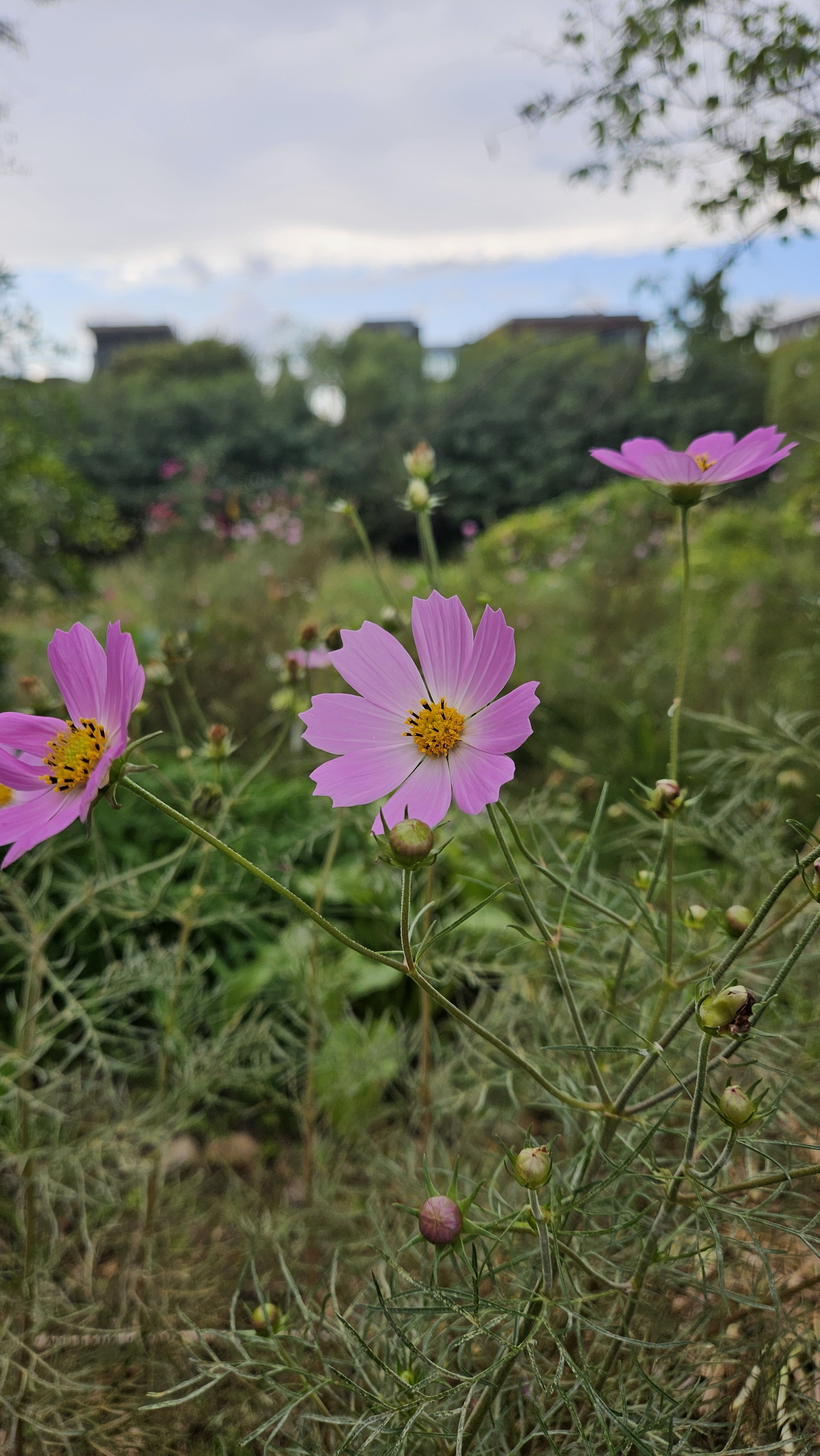 작성자 프로필 이미지