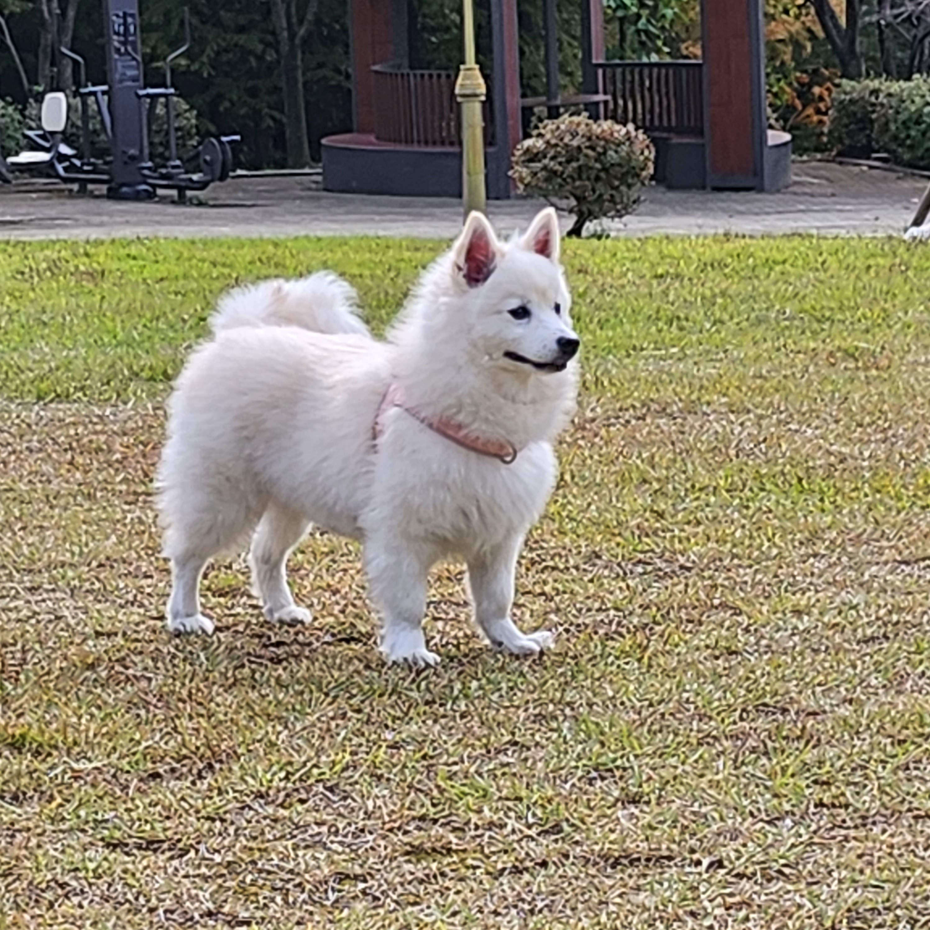 작성자 프로필 이미지