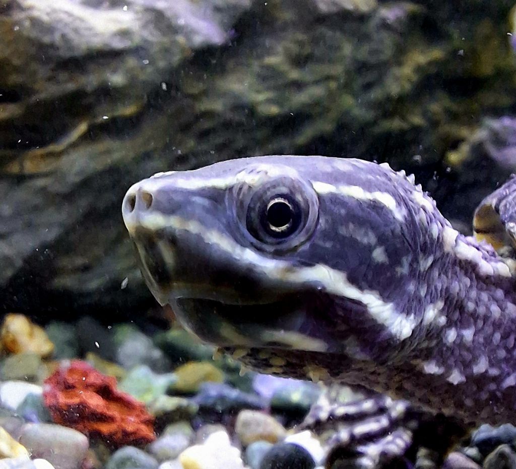 작성자 프로필 이미지