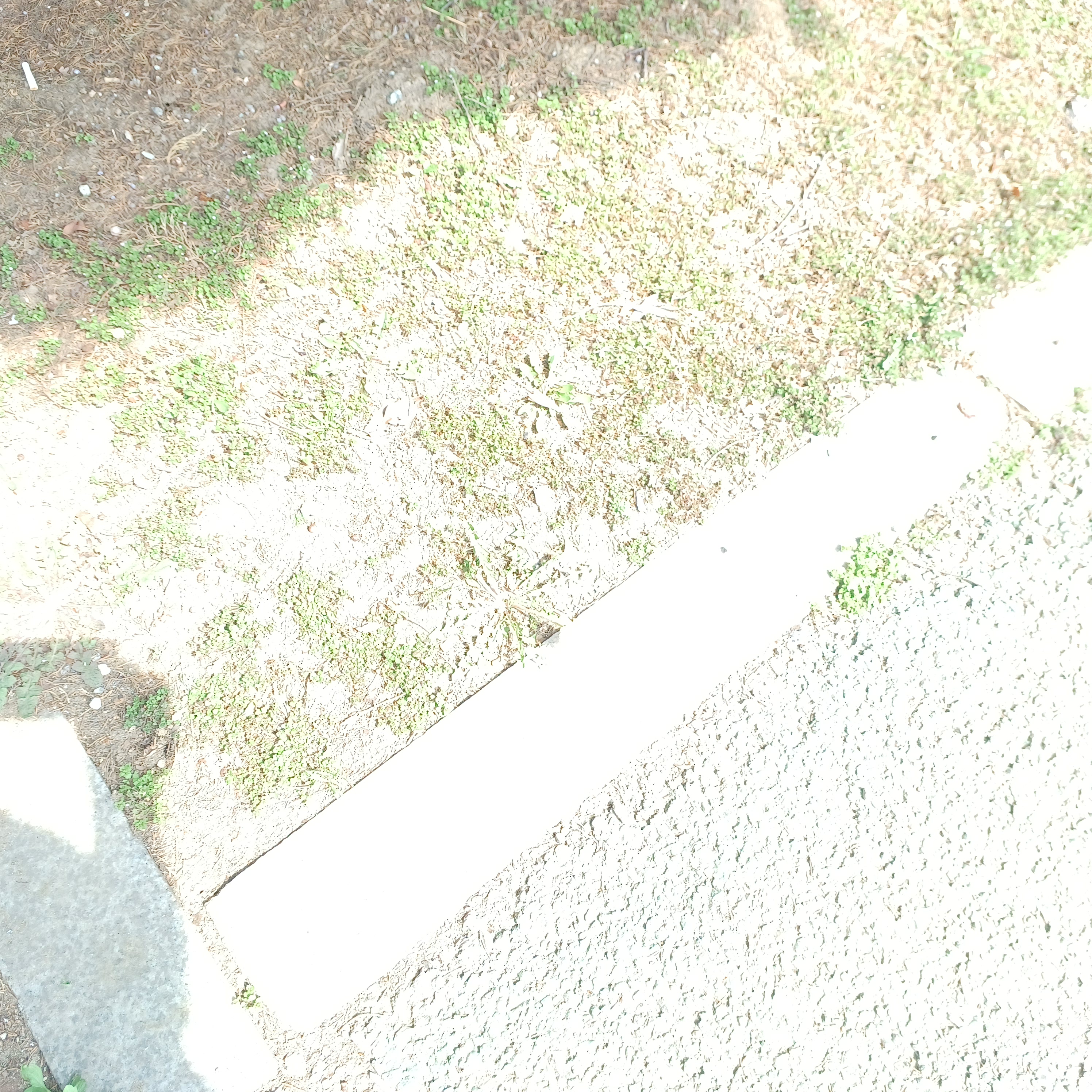 작성자 프로필 이미지