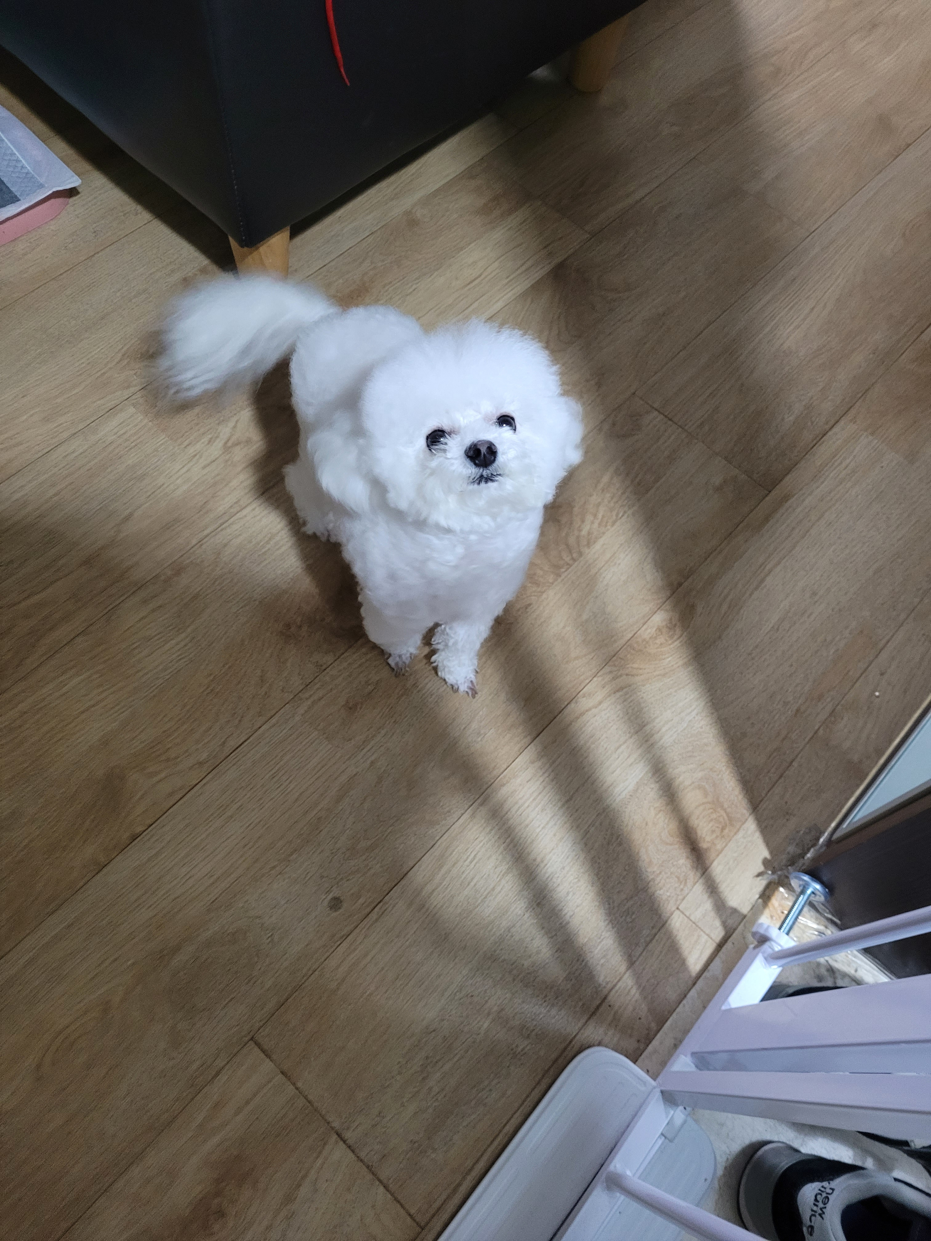 작성자 프로필 이미지