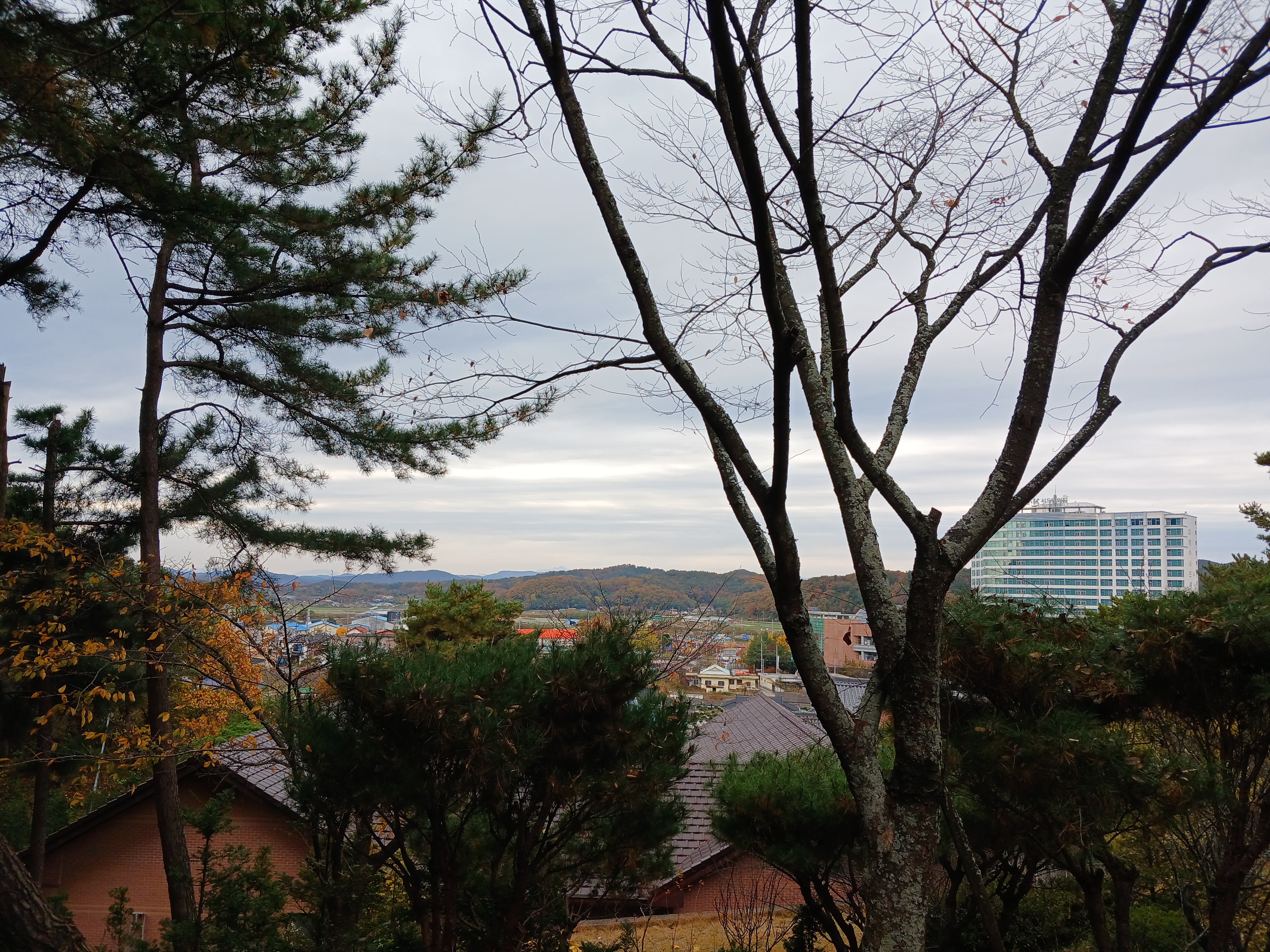 작성자 프로필 이미지