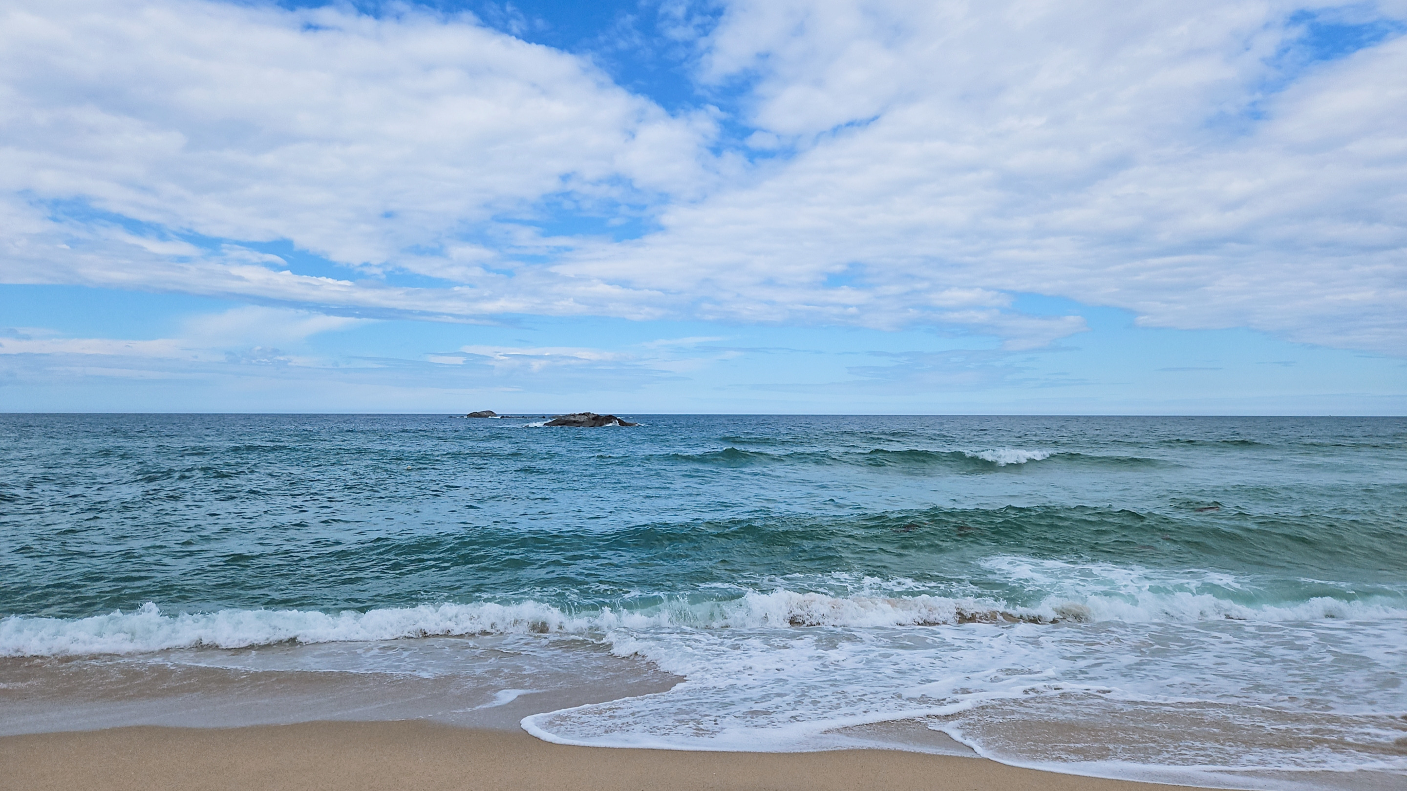 작성자 프로필 이미지