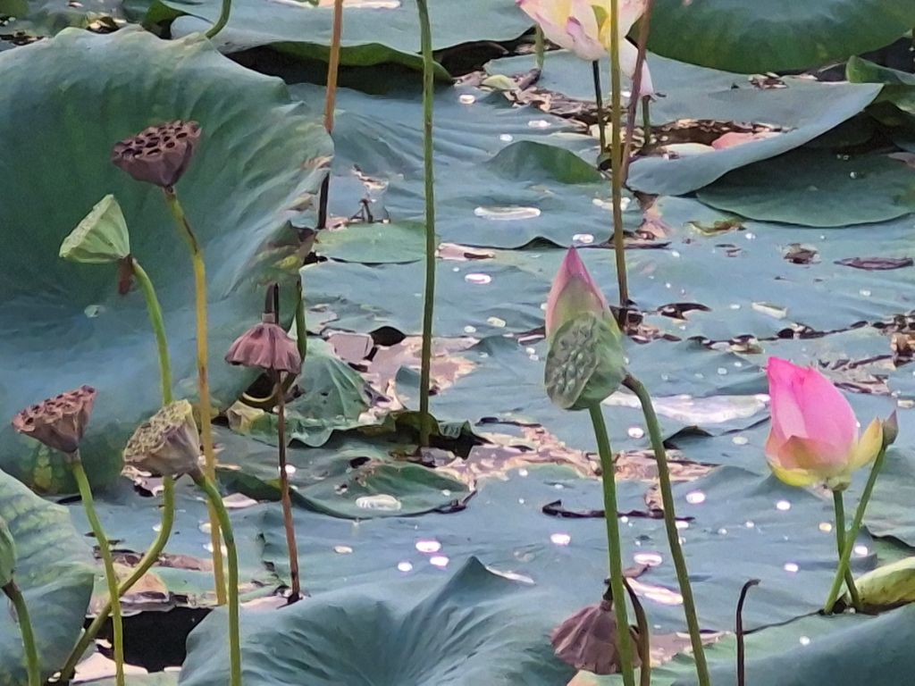 작성자 프로필 이미지