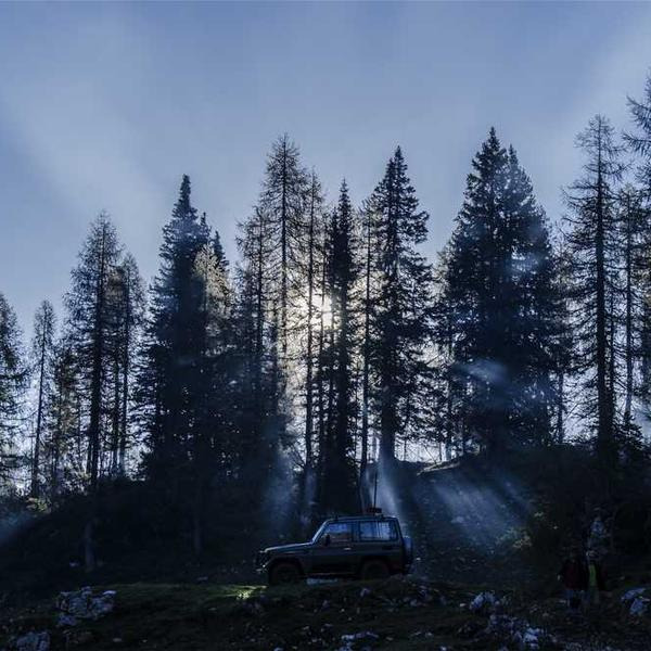 작성자 프로필 이미지