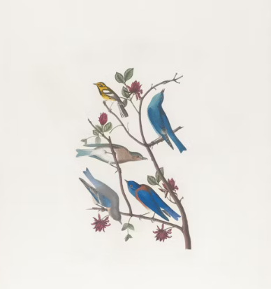 작성자 프로필 이미지