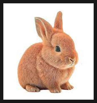 작성자 프로필 이미지