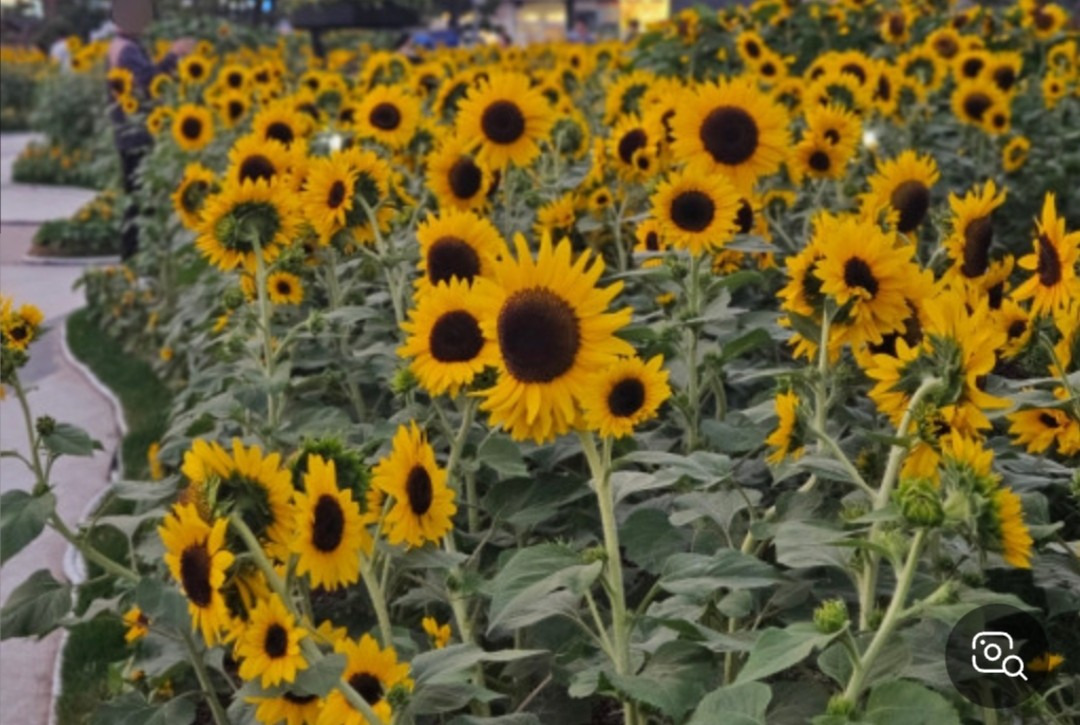 작성자 프로필 이미지