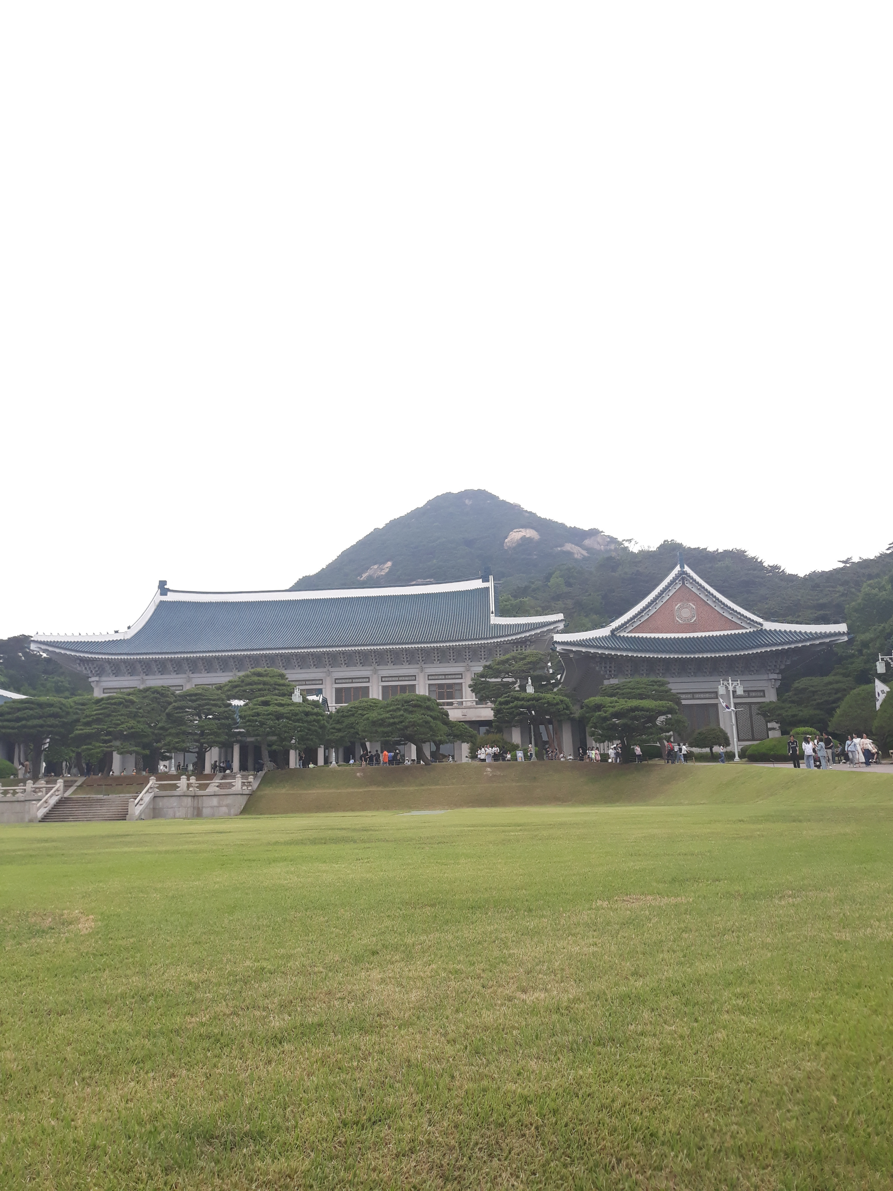 작성자 프로필 이미지