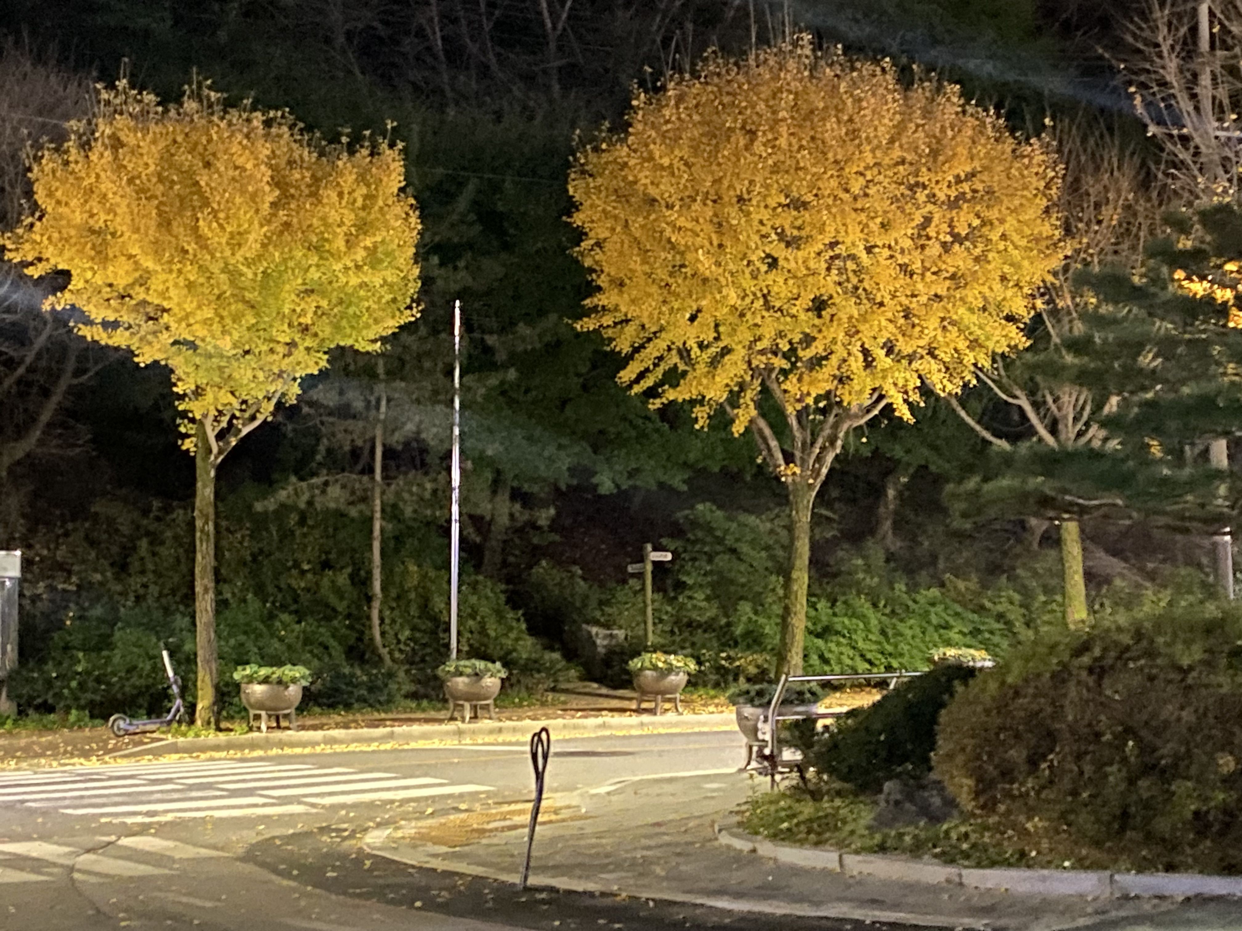 작성자 프로필 이미지