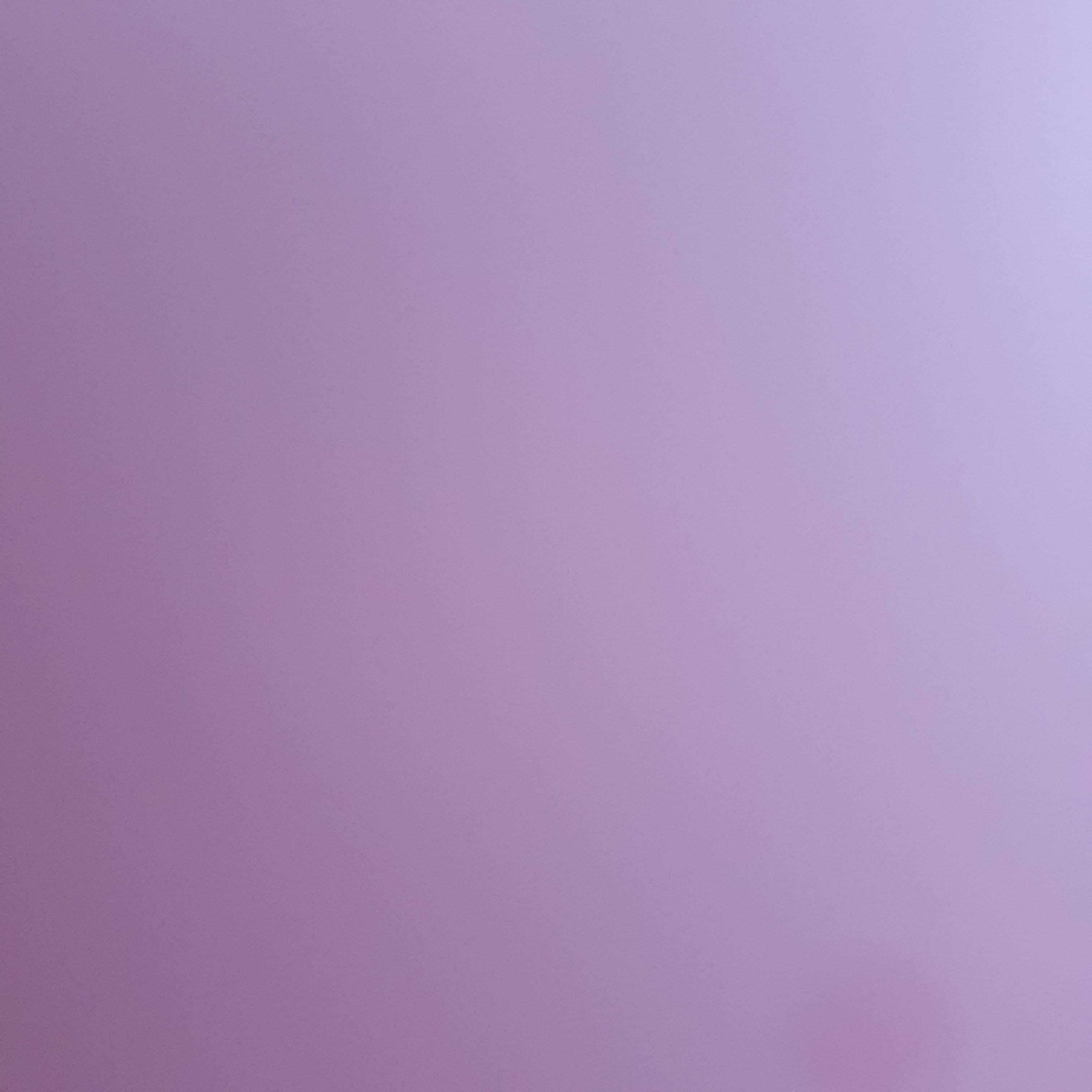 작성자 프로필 이미지