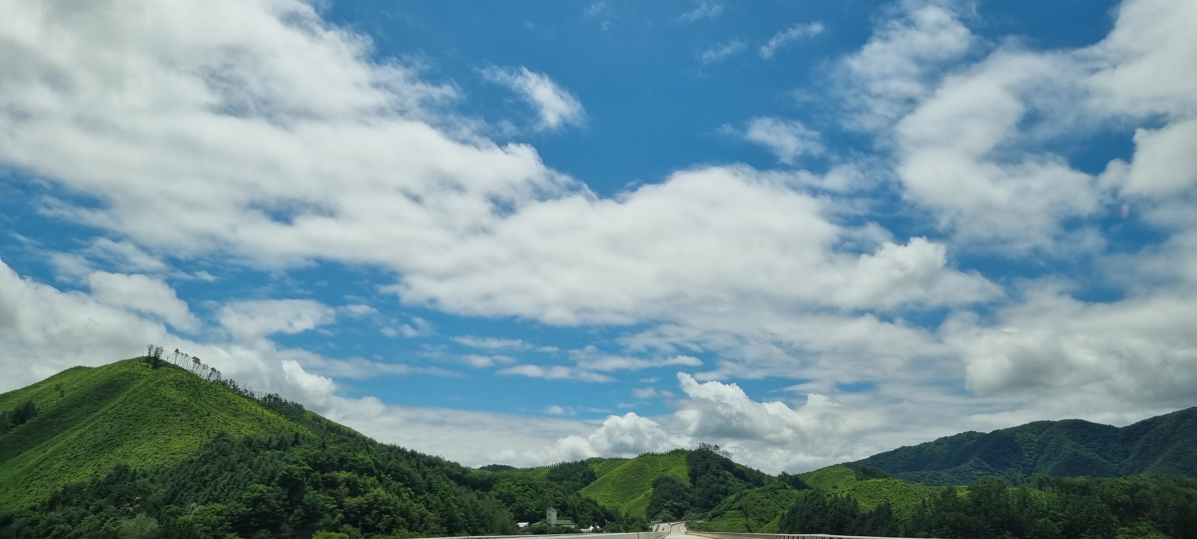 작성자 프로필 이미지