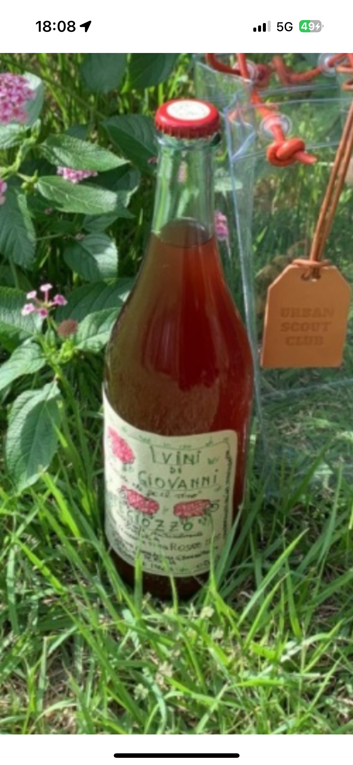 작성자 프로필 이미지