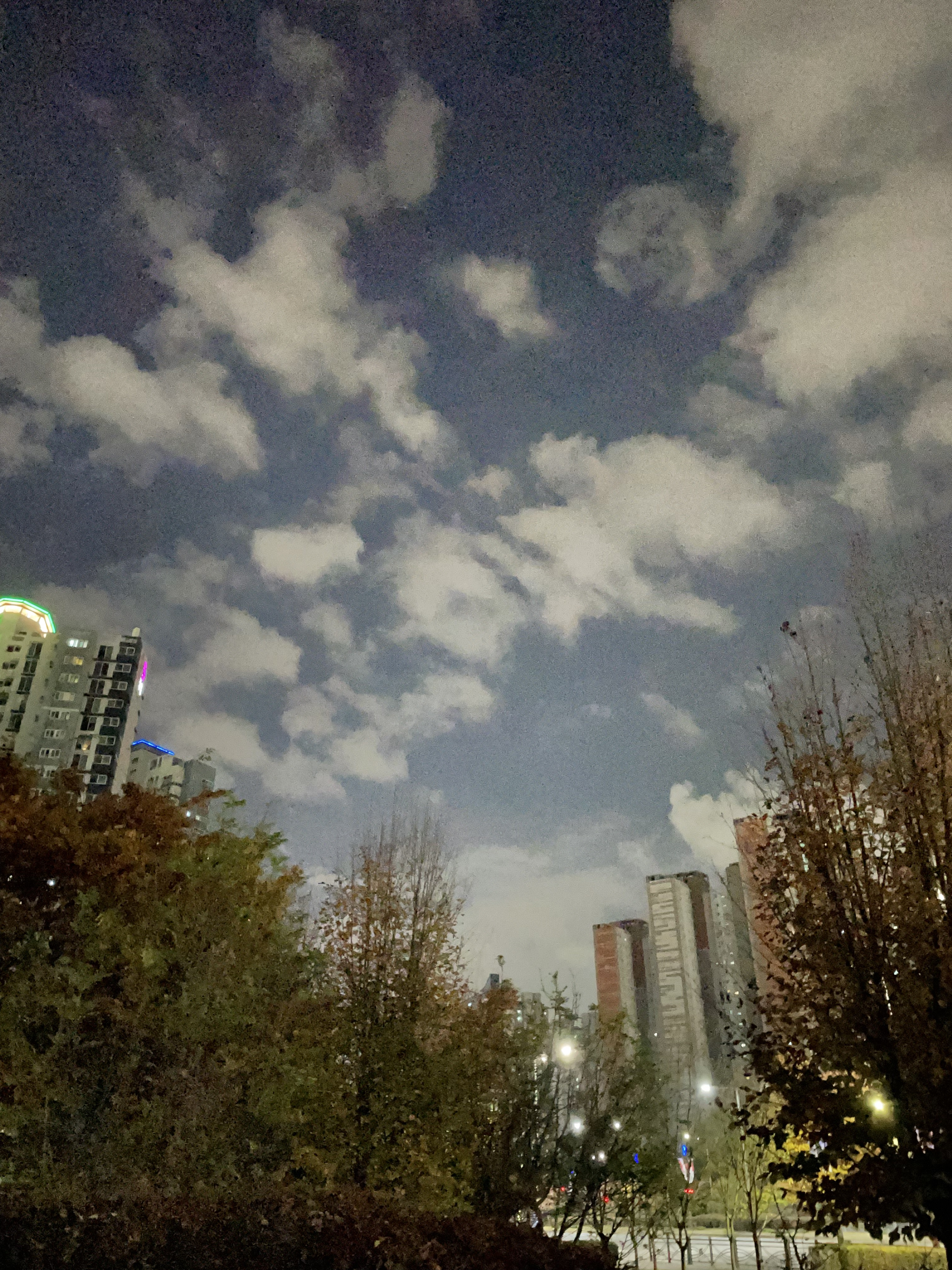 작성자 프로필 이미지