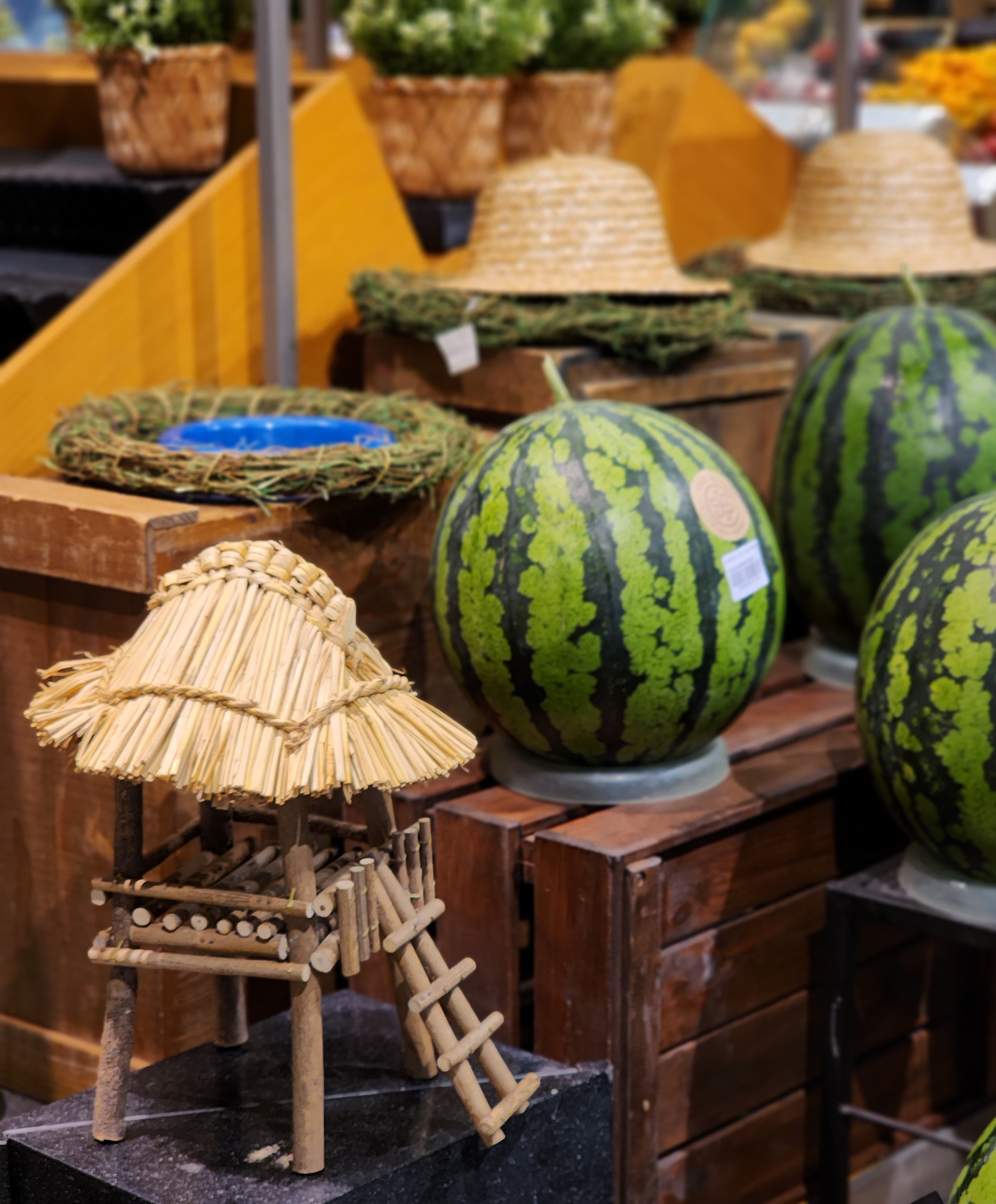 작성자 프로필 이미지