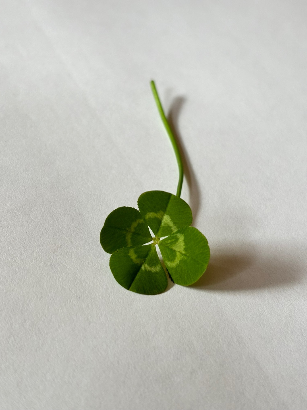 작성자 프로필 이미지