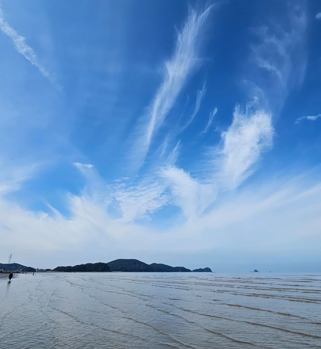 작성자 프로필 이미지