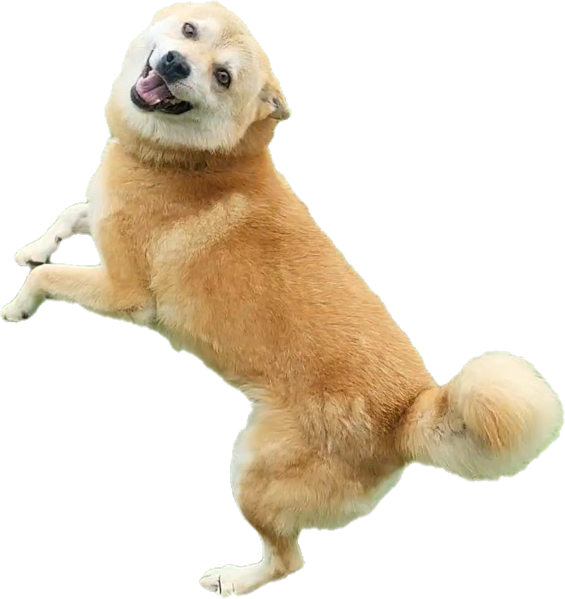 작성자 프로필 이미지