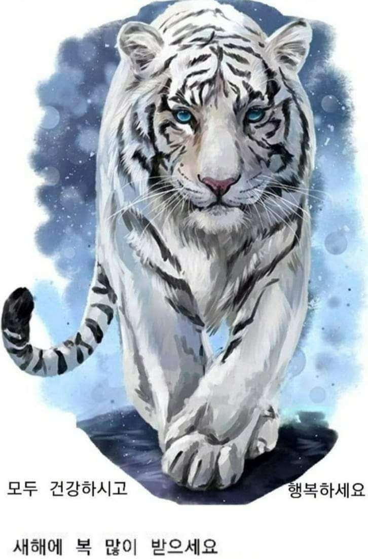 작성자 프로필 이미지