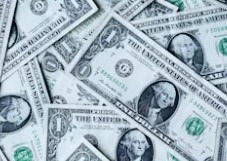 작성자 프로필 이미지