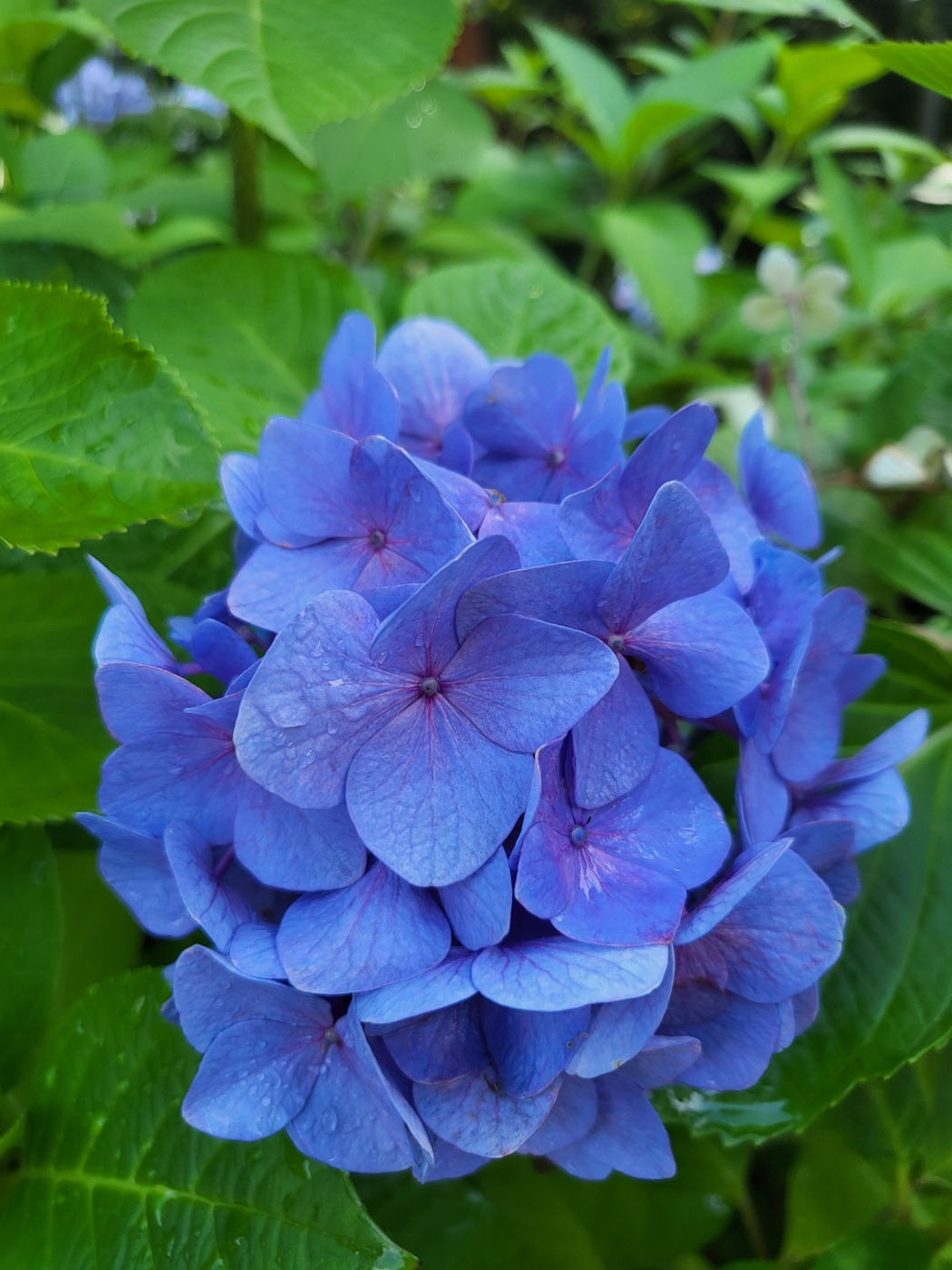 작성자 프로필 이미지