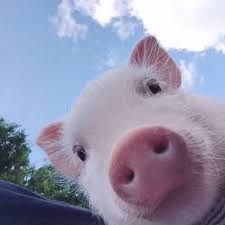 작성자 프로필 이미지