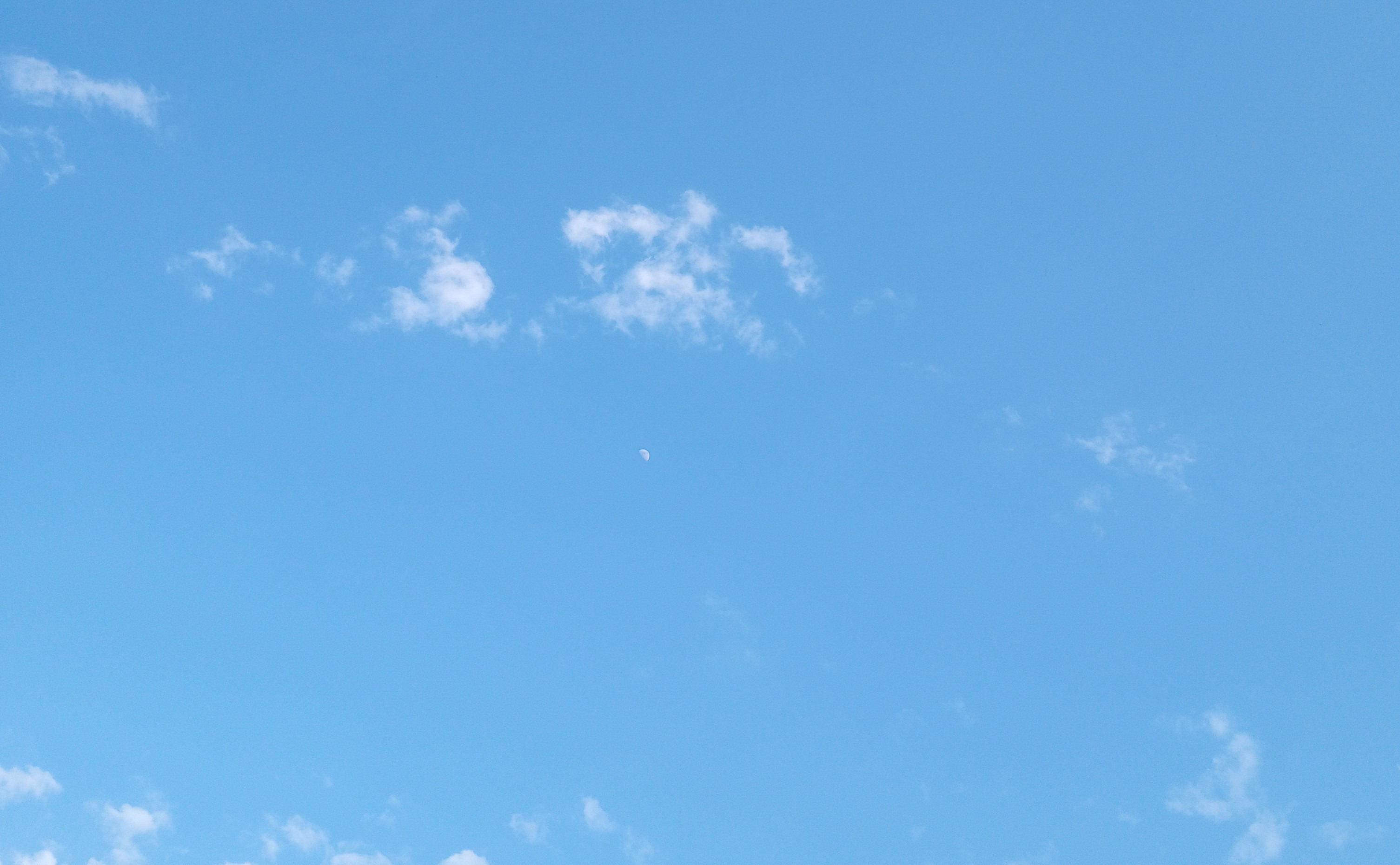 작성자 프로필 이미지