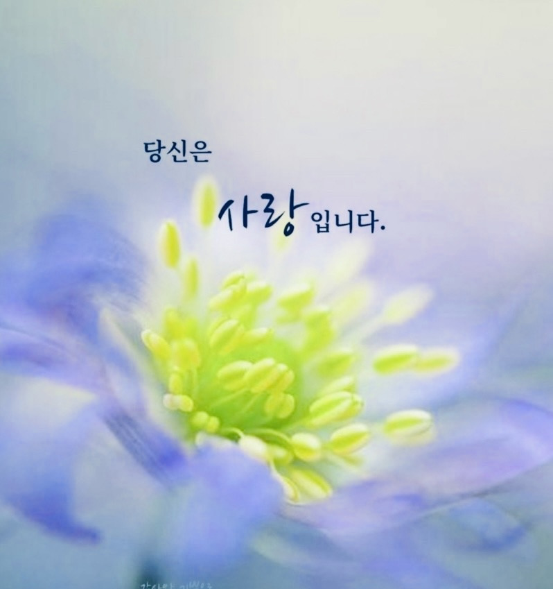 루아흐 프로필 이미지