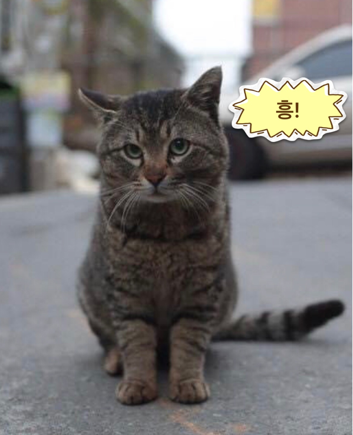 작성자 프로필 이미지