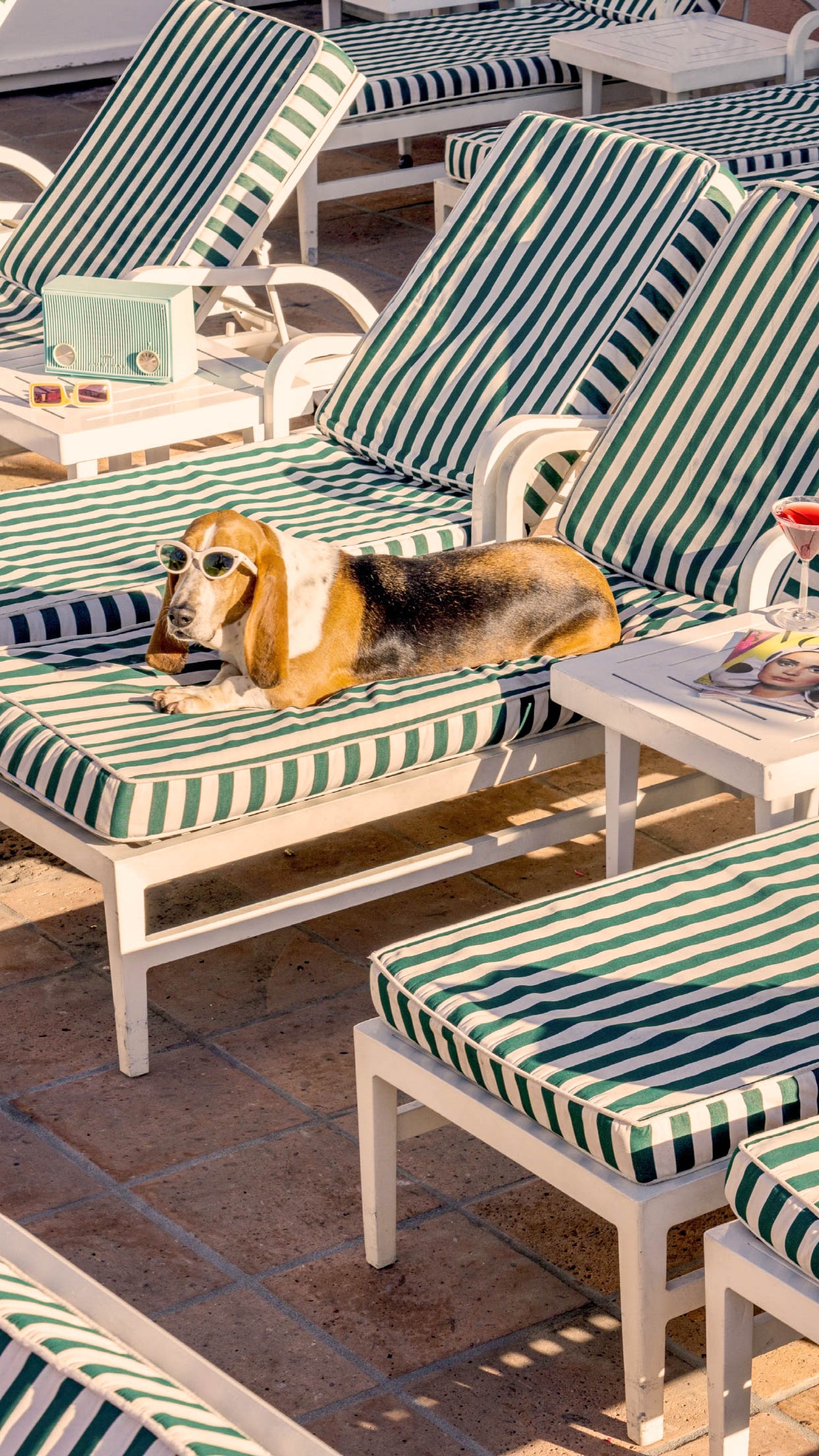 작성자 프로필 이미지