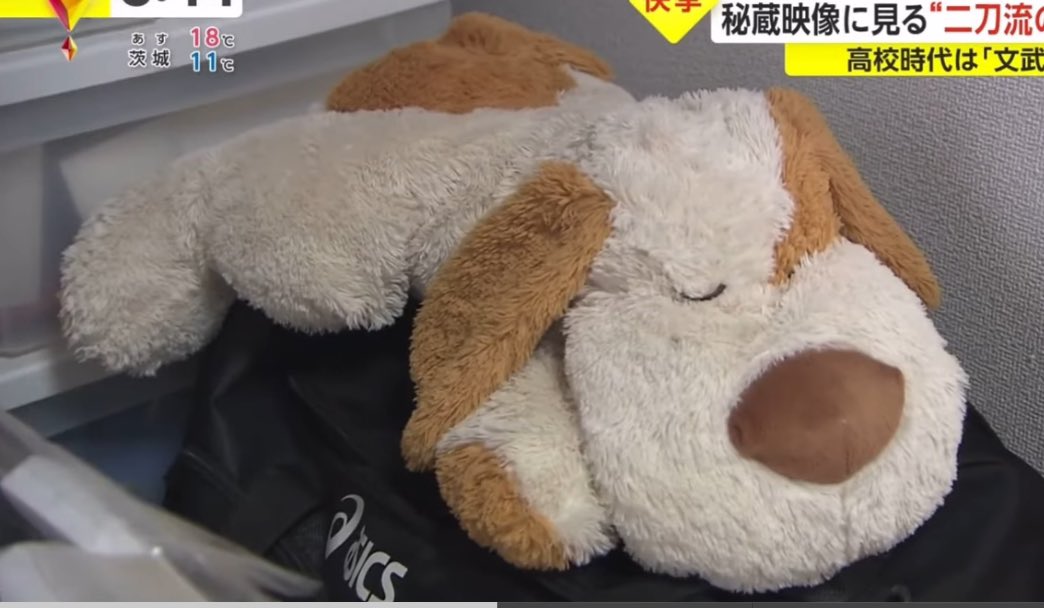 작성자 프로필 이미지