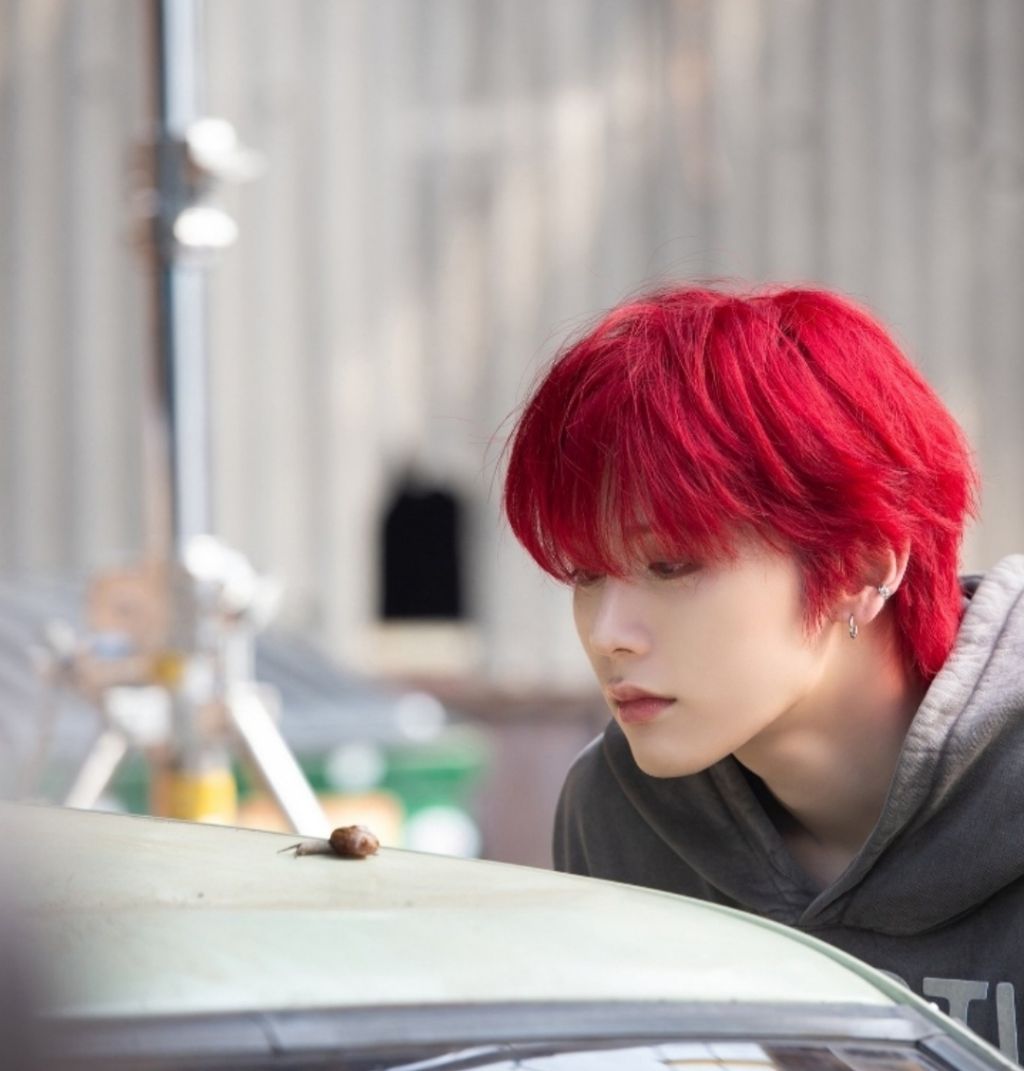 완도어 프로필 이미지