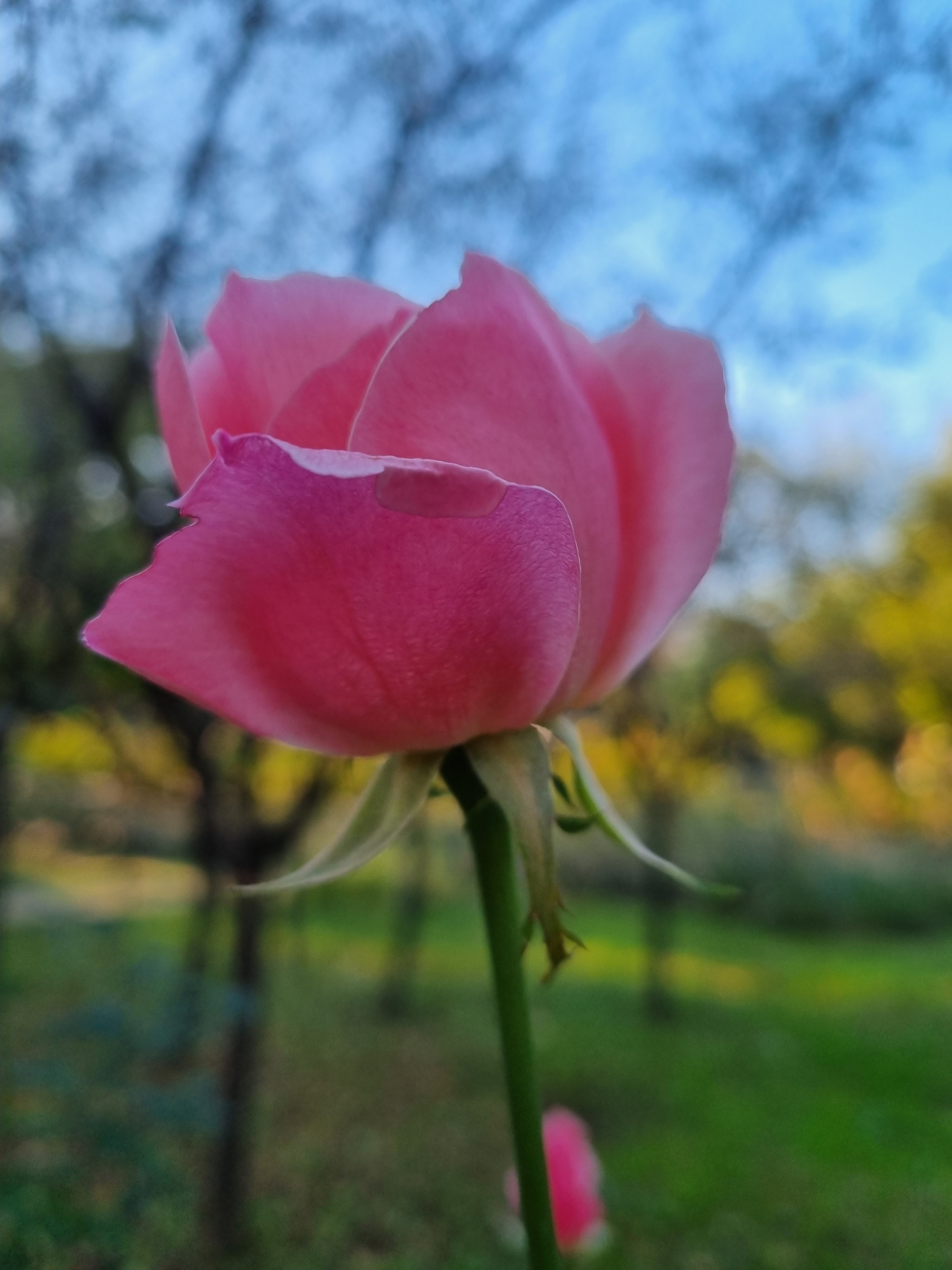 작성자 프로필 이미지