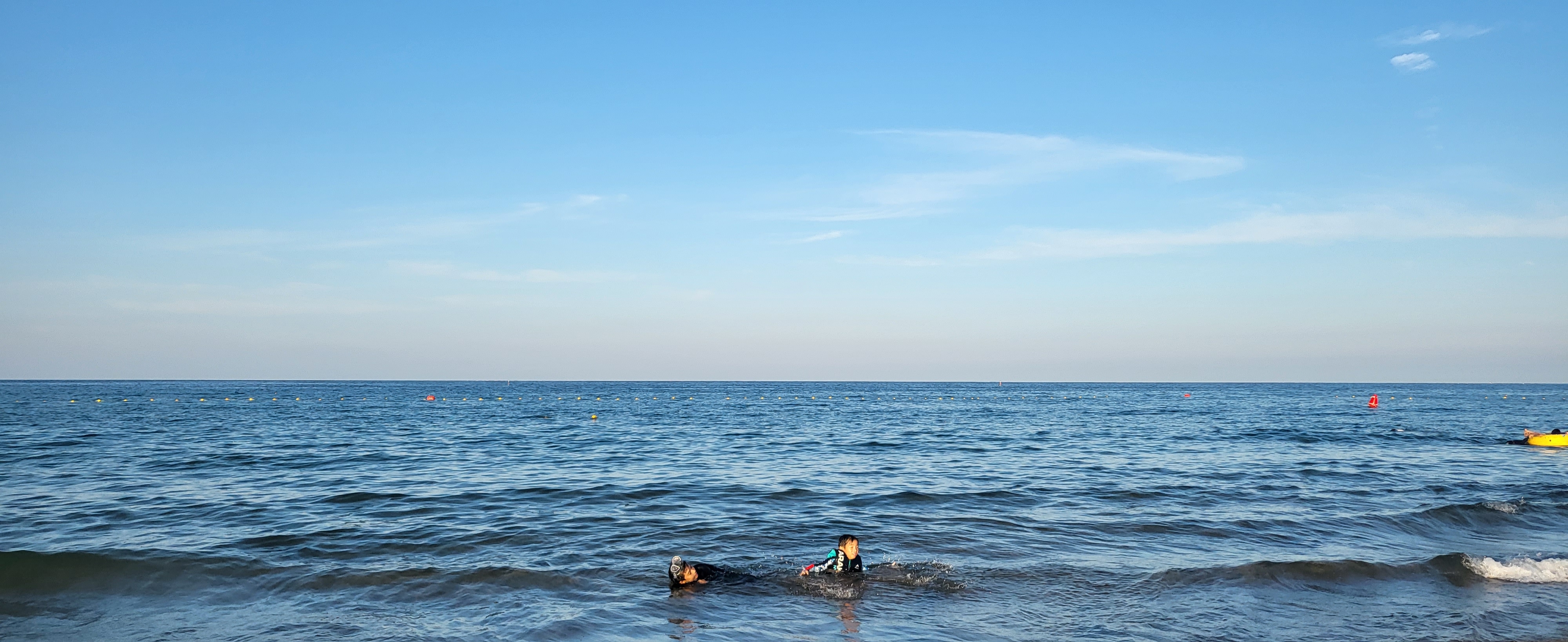 작성자 프로필 이미지