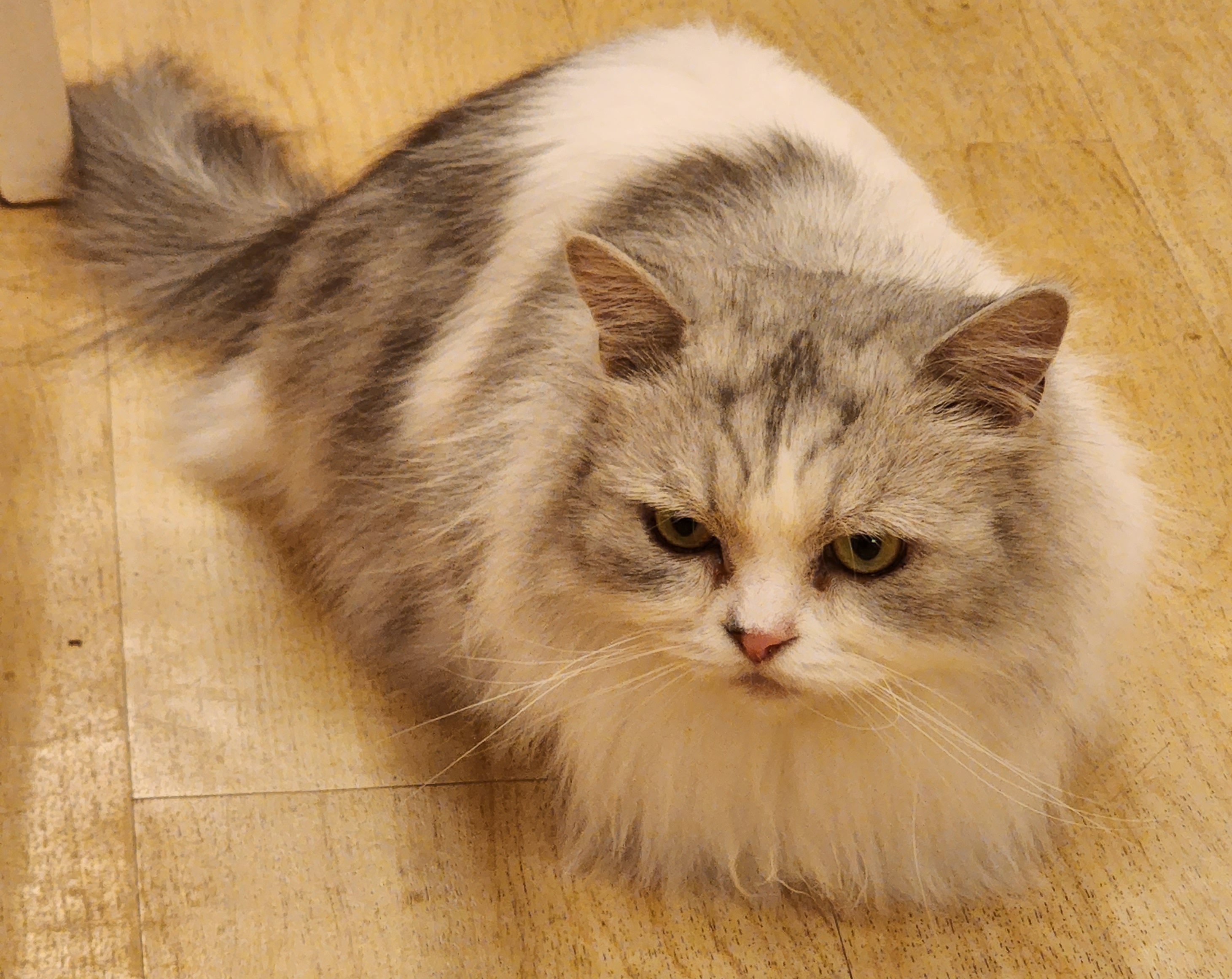 작성자 프로필 이미지