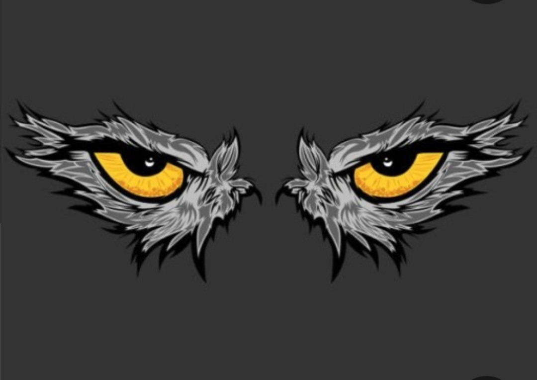 작성자 프로필 이미지