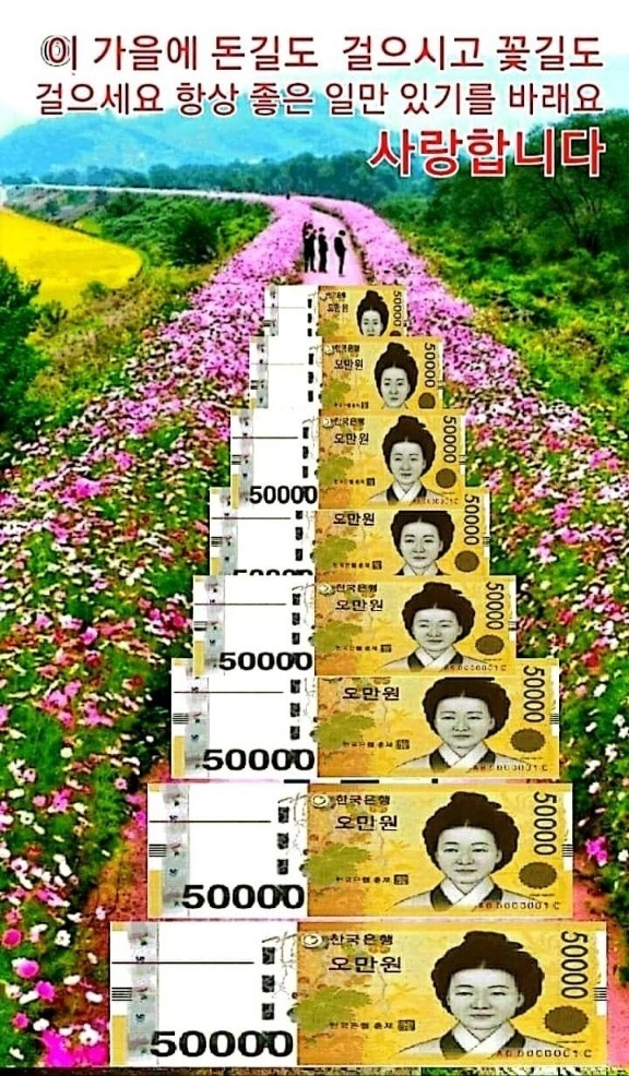 작성자 프로필 이미지