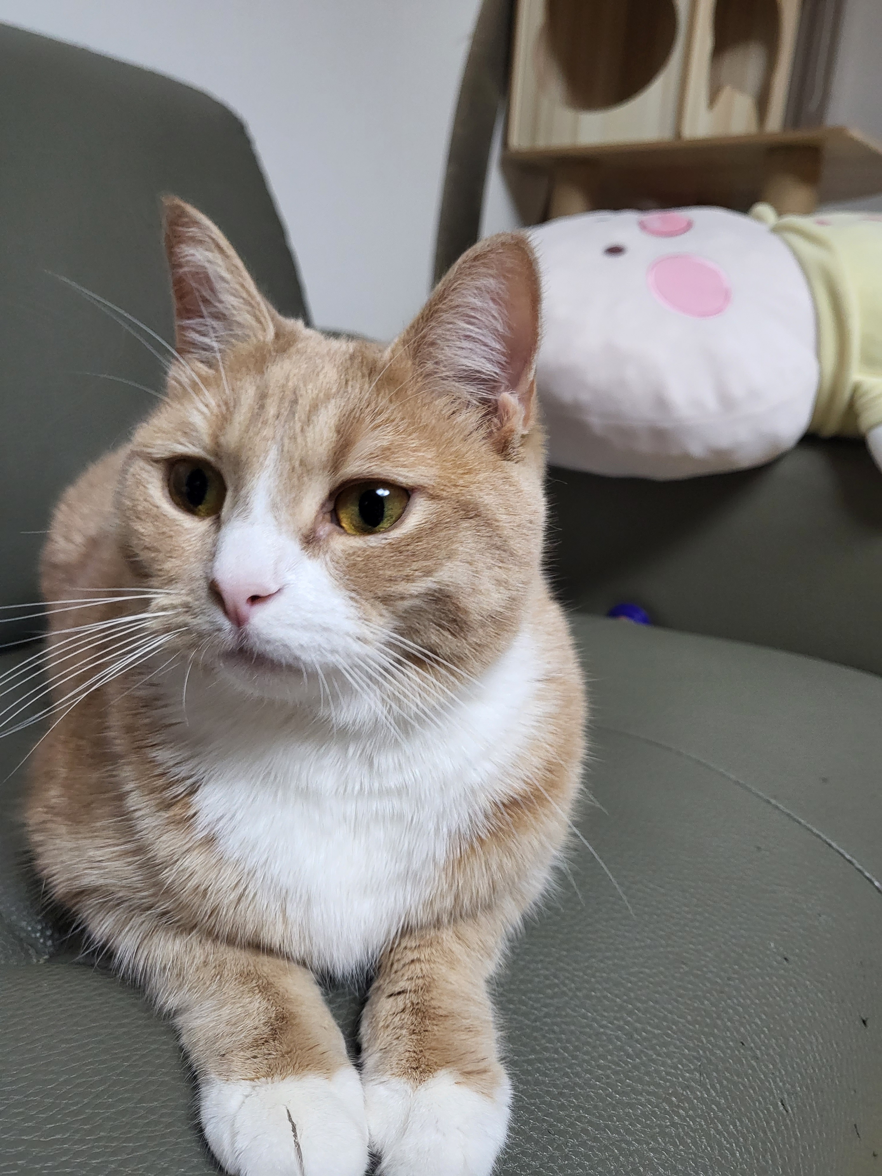 작성자 프로필 이미지