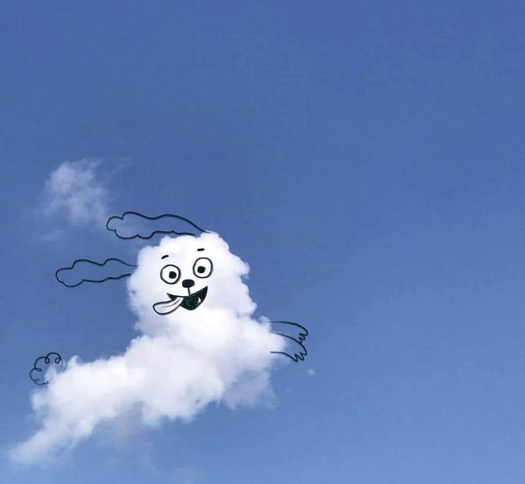 작성자 프로필 이미지