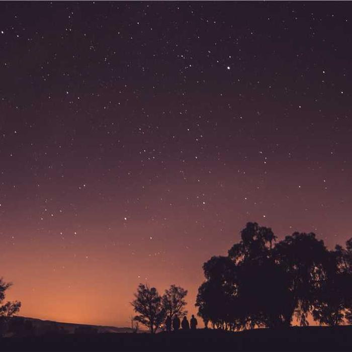 작성자 프로필 이미지