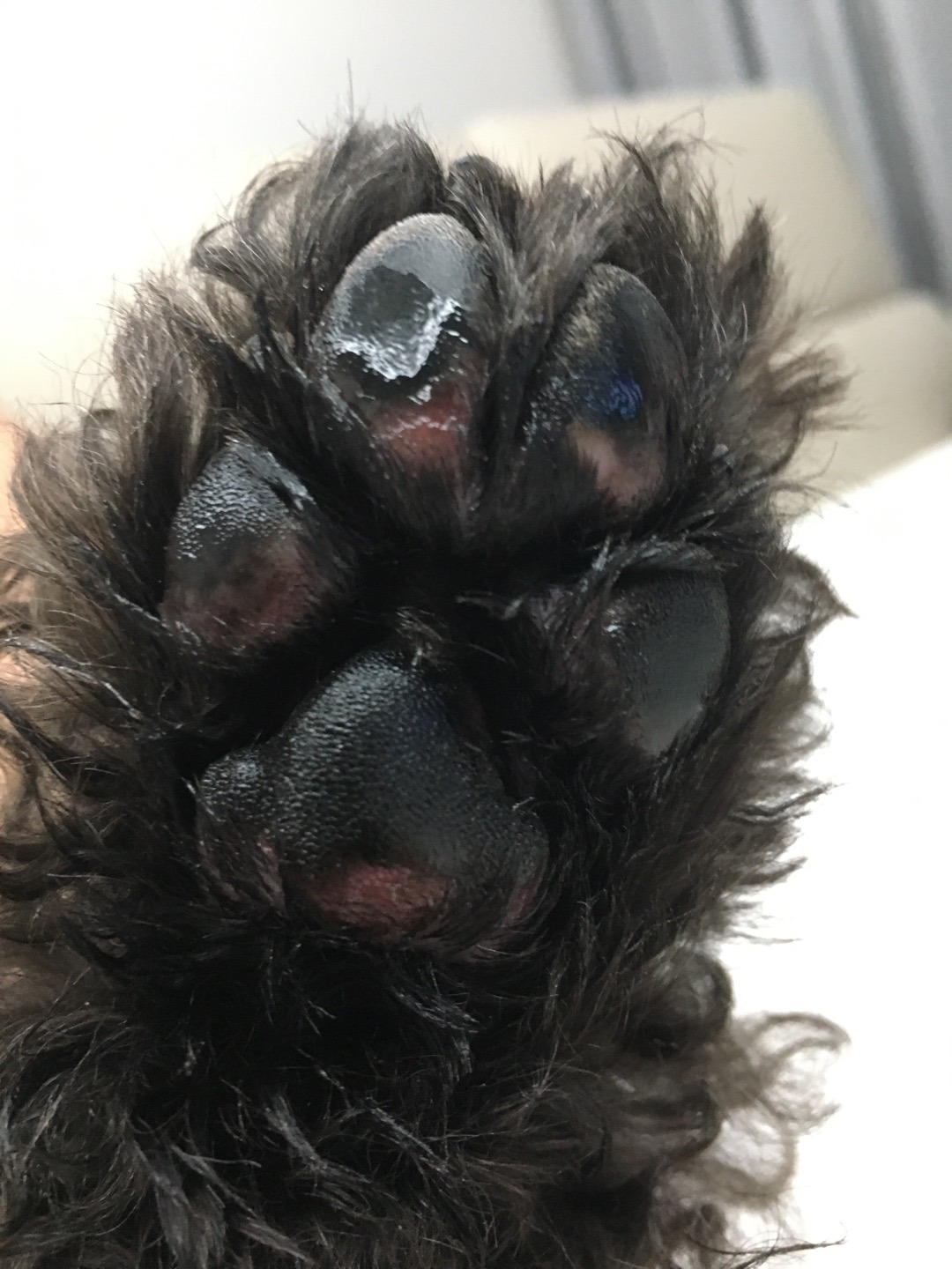 작성자 프로필 이미지