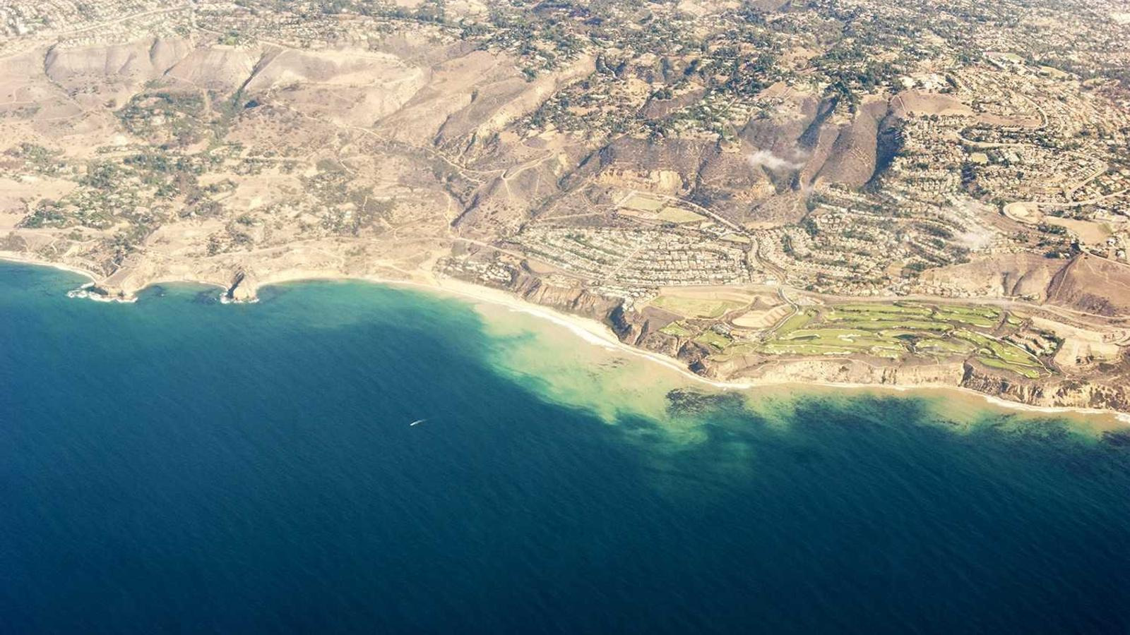 작성자 프로필 이미지