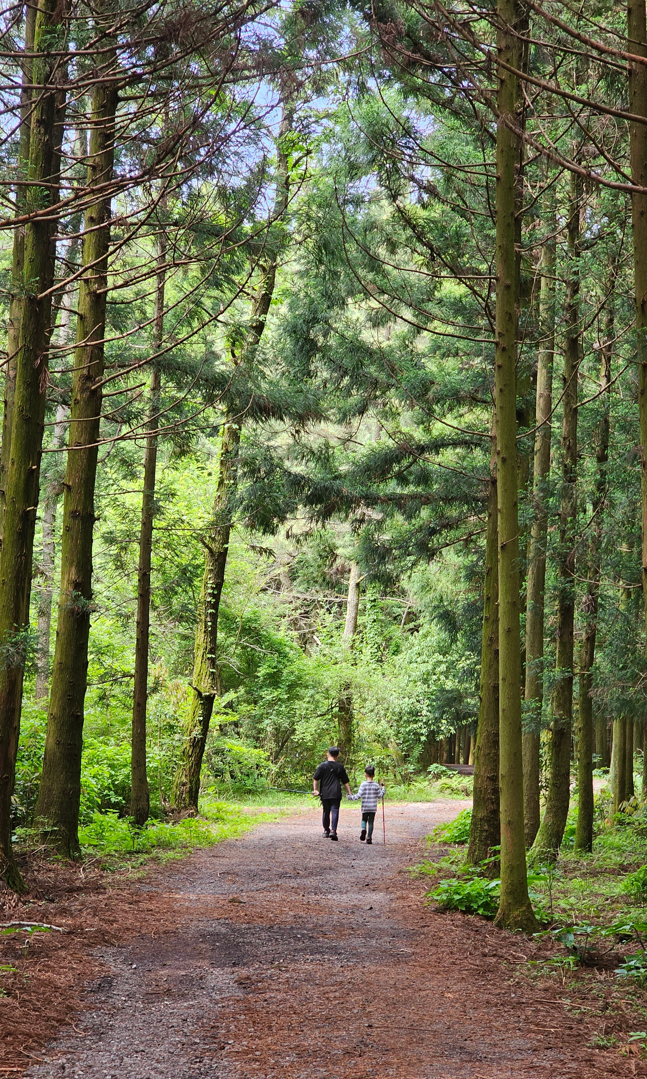 작성자 프로필 이미지